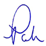 Paula Paladino signature